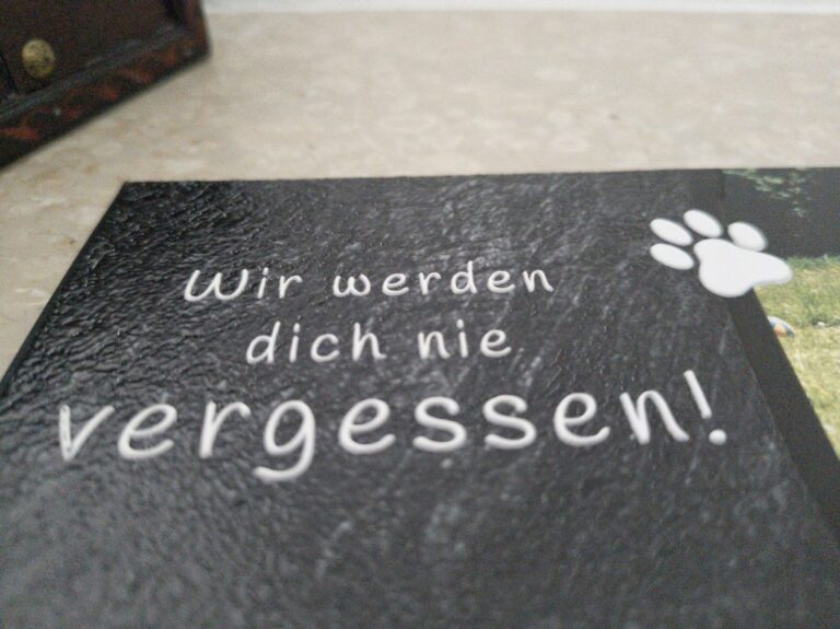 Nahaufnahme der erhabenen weißen Schrift Wir werden dich nie vergessen auf dunklem Grund, daneben eine weiße Pfote.